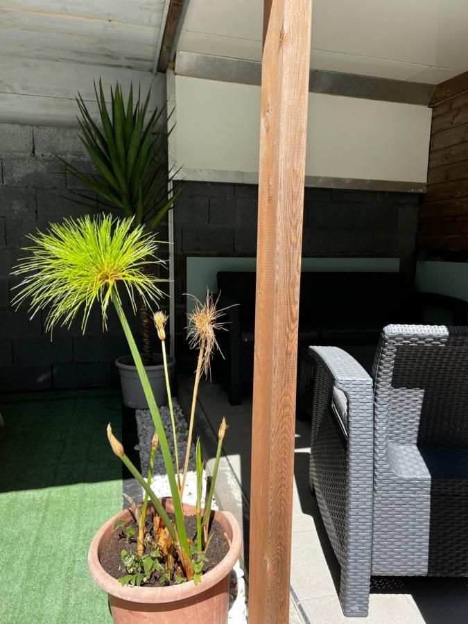 L'améthyste - Bungalow de charme Cilaos Extérieur photo